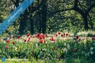 Apartament z fenomenalnym widokiem na panoramę bezpośrednio nad Wisłą - 4