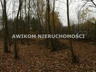 Działka rekreacyjna Wiskitki Antoniew - 13