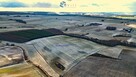 Działka rolna Pietrzwałd gm. Ostróda - 9
