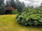 ⭐⭐⭐⭐Lux DZIAŁKA W OTULINIE LAsU Idealna cisza ⭐⭐⭐⭐ - 15