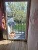 Połowa domu dwurodzinnego. - 5