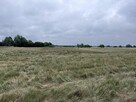 Działa rolna 3.58 ha - tylko 17 km od morza! - 2