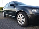 Audi A3 2.0FSI, 2005, I właściciel w PL, nowy rozrząd - 2