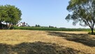 Działka rolno-budowlana 41 arów Dąbrówka Osuchowska - 8