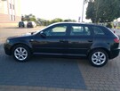 Audi A3 2.0FSI, 2005, I właściciel w PL, nowy rozrząd - 10