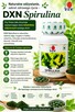 SPIRULINA – ZIELONE ZŁOTO NATURY !!! - 2