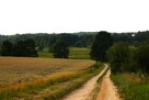 Działka budowlana Stara Kiszewa - 5