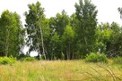 Działka budowlana Stara Kiszewa - 7