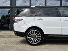 Range Rover Sport HSE Dynamic 4.4 TDV8 Diesel / Polski Salon / ASO - 7