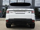 Range Rover Sport HSE Dynamic 4.4 TDV8 Diesel / Polski Salon / ASO - 12