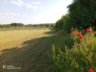 Działka z WZ, linią brzegową jeziora i winnicą - 6