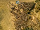 Działka rolna Dziśnity gm. Małdyty - 5