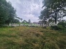 Działka usługowa Praszczyki gm. Panki - 3