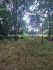 Działka usługowa Praszczyki gm. Panki - 10