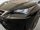 Lexus NX 300h 2.5hybrid 197KM automat 2017 r., salon PL, przebieg 182tys.km - 9