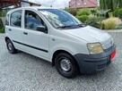 Fiat Panda  1.2 benz