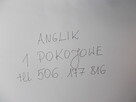 Anglik 1 pokojowe.