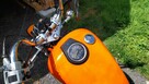 Suzuki Savage 650 - 3