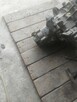 Sprzedam skrzynie biegów vw polo 6n2 1.9sdi - 4
