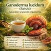 Cztery naturalne produkty, które wspierają zdrowie !!! - 2