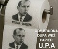 szukam producenta papieru