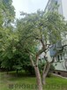 2-pokojowe mieszkanie na Ochocie - 12