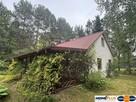 Działka z domkiem w lesie, blisko rzeki - 3