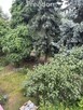 Dom w centrum z dużym ogrodem! - 5