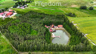 Mazurskie Siedlisko 3 ha | Staw, Las, dom - 3