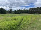 Ładnie położona działka budowlana w Cegielniku - 3