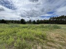 Ładnie położona działka budowlana w Cegielniku - 9