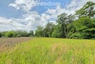 Działka budowlana z własnym lasem | 5804 m² | Hola - 5