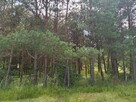 Działka na sprzedaż, Guzowy Piec, jezioro, 1777 m2 - 14