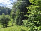 Działka na sprzedaż, Guzowy Piec, jezioro, 1777 m2 - 15