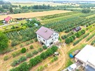 Dom 280 m2 z dochodowym sadem i chłodniami - 2