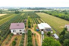 Dom 280 m2 z dochodowym sadem i chłodniami - 3