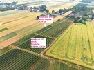 Dom 280 m2 z dochodowym sadem i chłodniami - 9