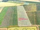 Dom 280 m2 z dochodowym sadem i chłodniami - 12