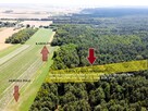 Inwestycja w dojrzały las sosnowy 1,85 ha budulec - 1