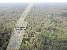 Inwestycja w dojrzały las sosnowy 1,85 ha budulec - 2
