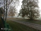 Sprzedam siedlisko - 3