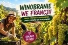 FRANCJA Winobranie 2026