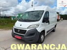 Fiat Ducato chłodnia salon polska - 1