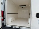 Fiat Ducato chłodnia salon polska - 9