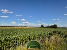 Działki budowlane 1500 m², Regimin 10 km Ciechanów - 3