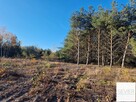 Działki | Budowlane | w Lesie | Krubin -| – Bieńki – - 5