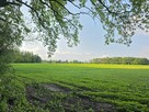 Działka przy Lesie | Z Wydanymi Warunkami Zabudowy - 11