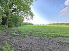 Działka przy Lesie | Z Wydanymi Warunkami Zabudowy - 10