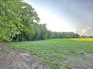 Działka przy Lesie | Z Wydanymi Warunkami Zabudowy - 7