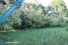 Wyjątkowa nieruchomość inwestycyjna 4,45 ha z dostępem do rzeki | Troniny | gm. Lipie - 9
